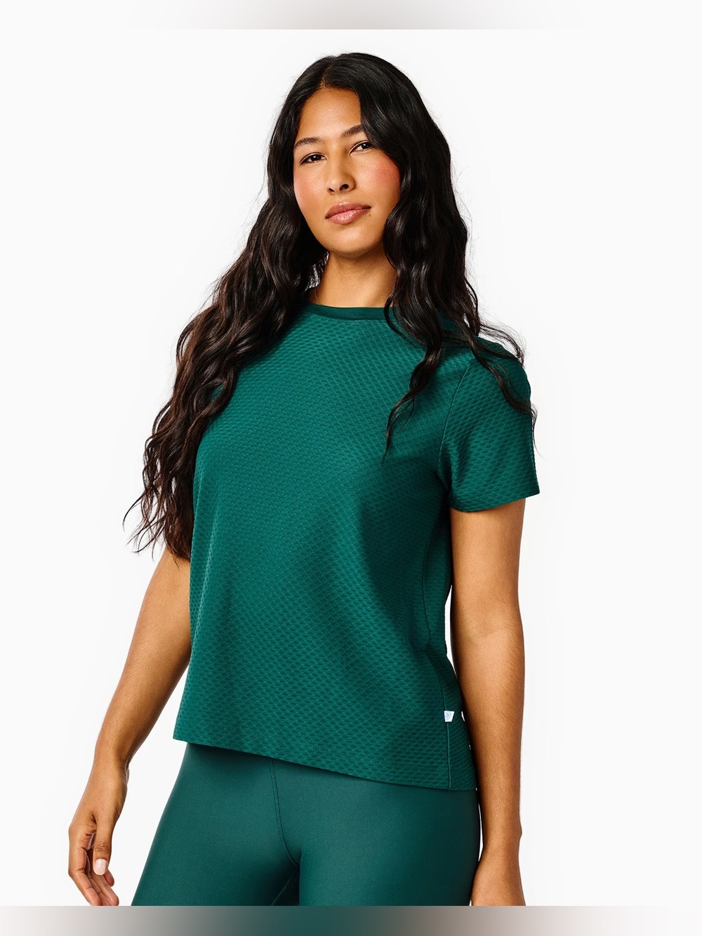 Addison Bay Active Mesh Walnut Short Sleeve Top in Ivy, Size XL
